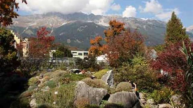 Ausflug - Botanischer Garten Innsbruck